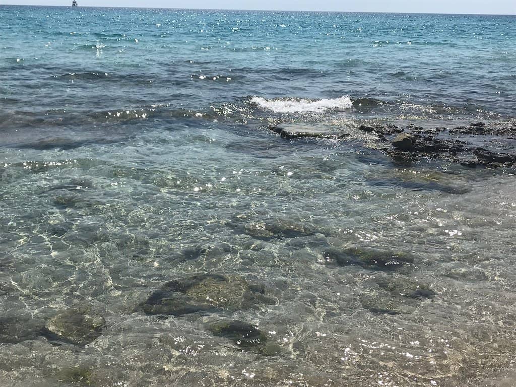 Vertical photo