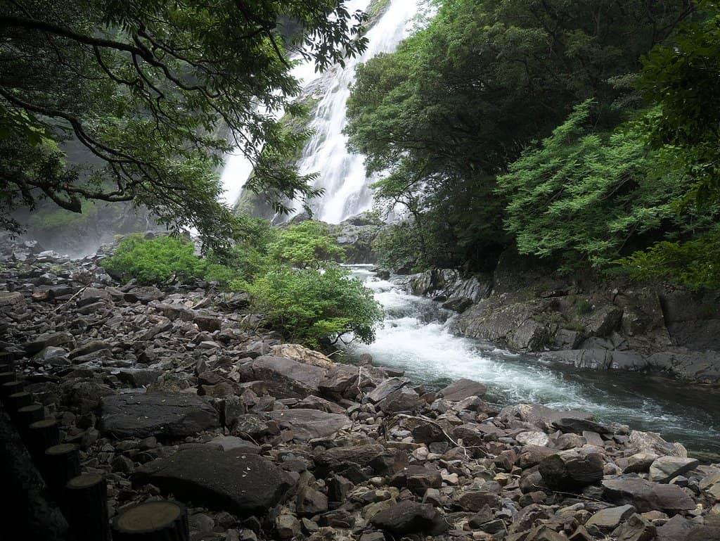 Vertical photo