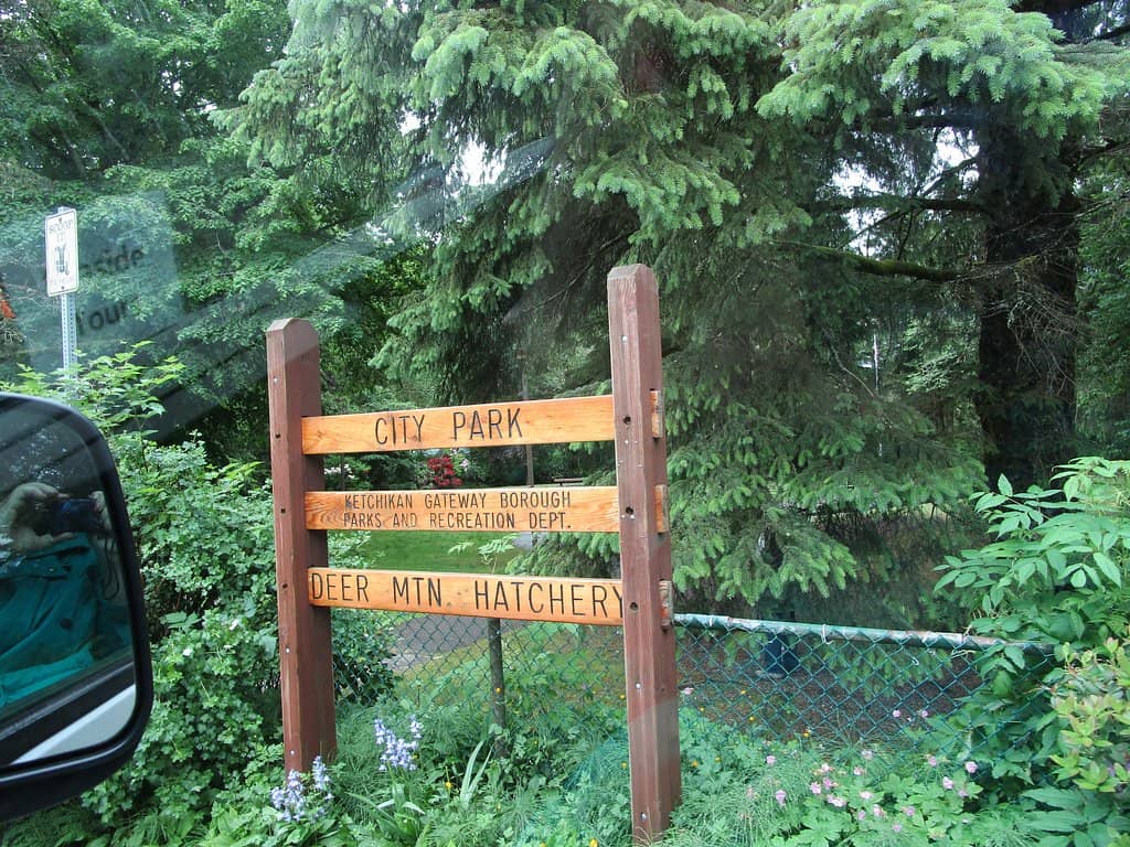 Salmon Ladder