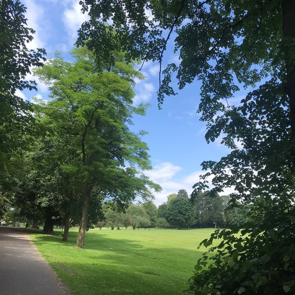 Skate Park & Pump Track