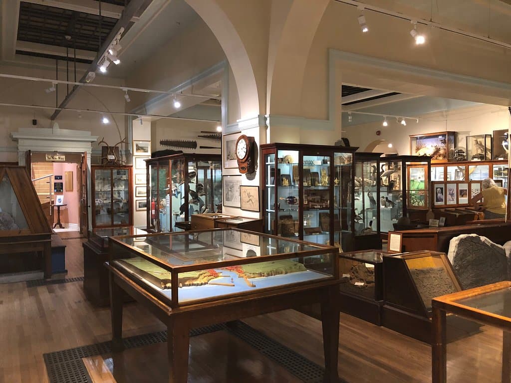 Whitby Jet Museum