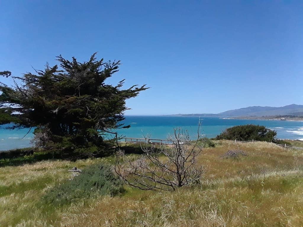 Scenic Coastal Trails