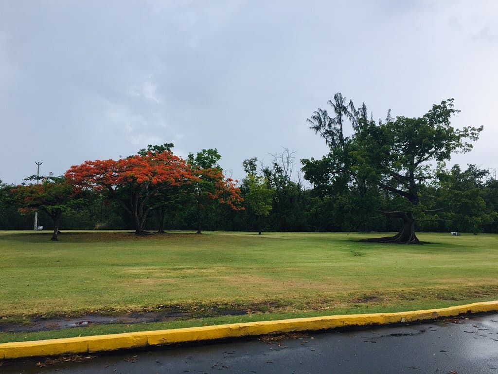 Parque Central San Juan