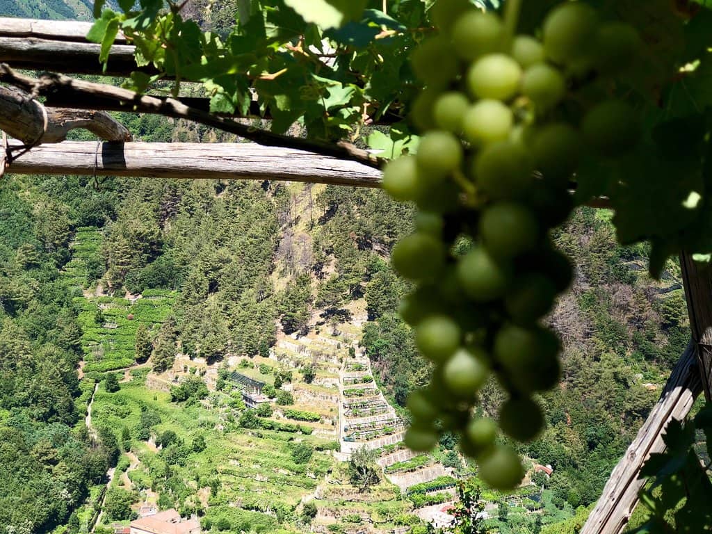 The Welcoming Family