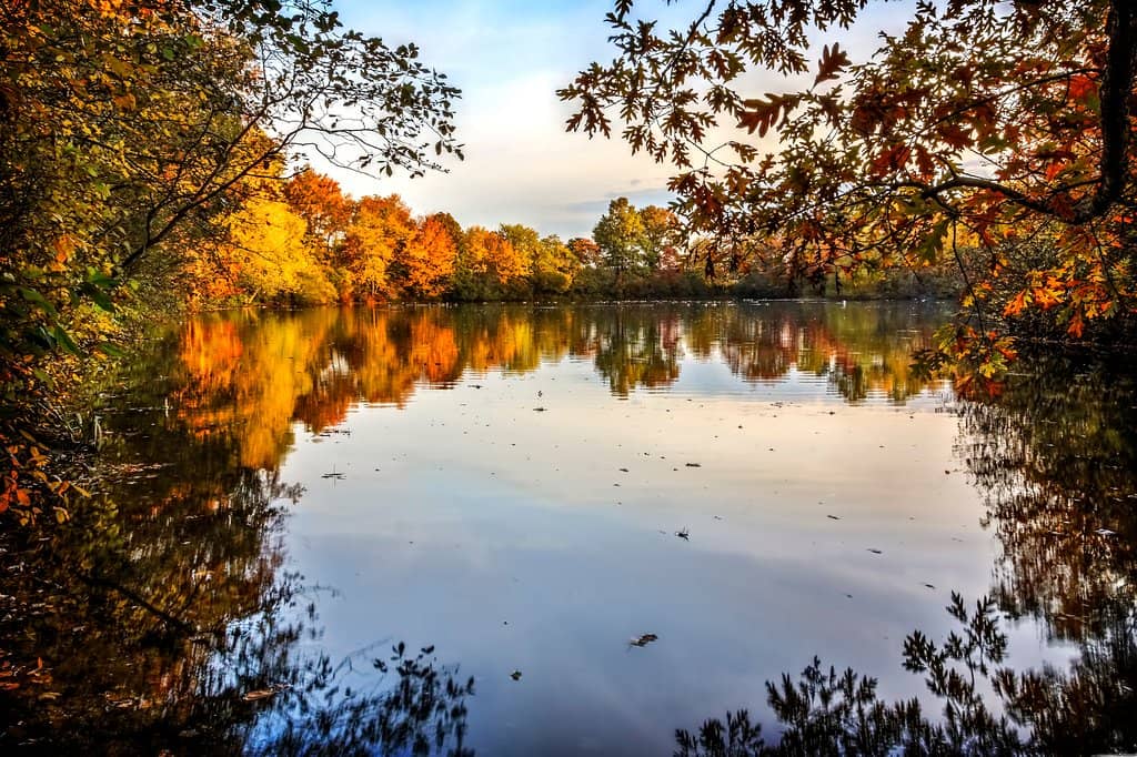 Nature Trails