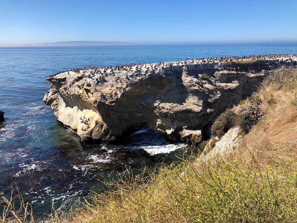 Scenic Walking Paths