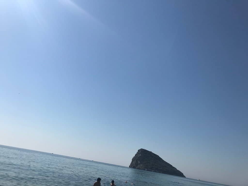 Vertical photo