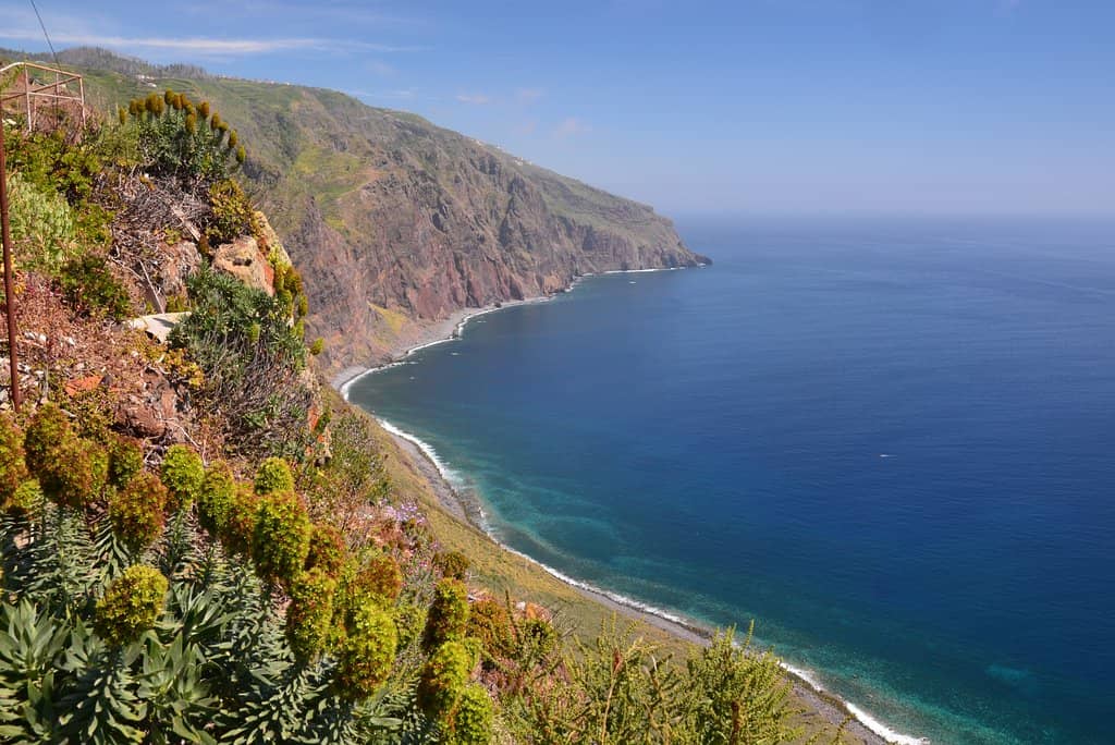 Panoramic Ocean Views