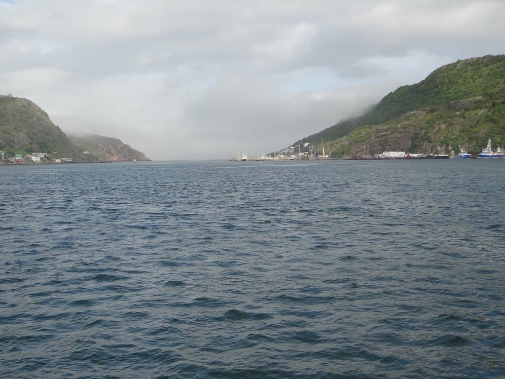 A view of the Harbour and the Narrows from Harbourside Park