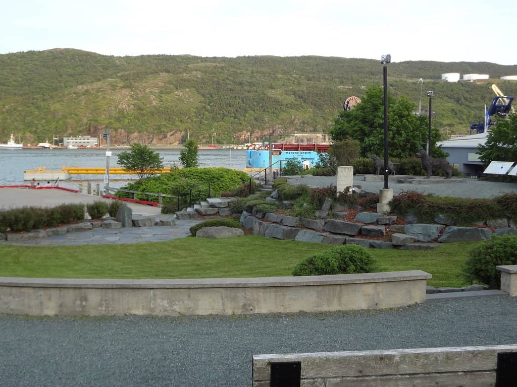Harbour and City Views
