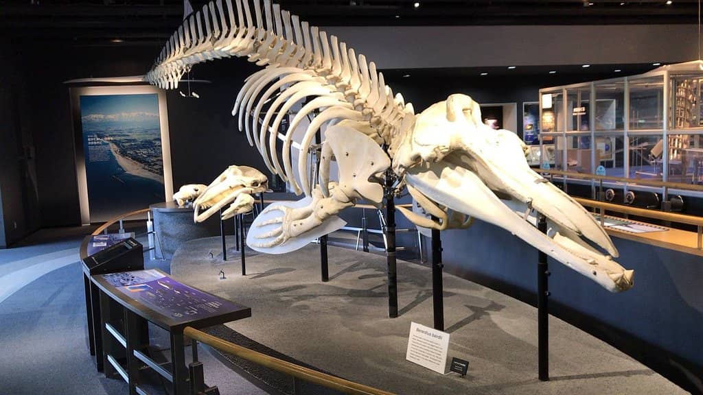 Interactive Science Exhibits