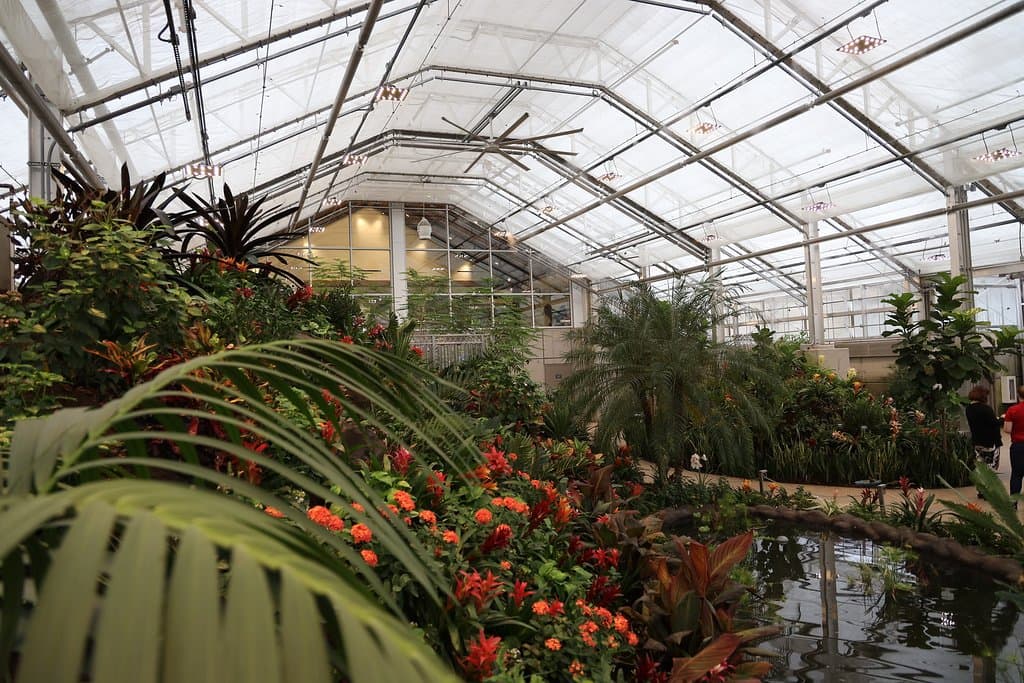 Conservatory Butterfly Biosphere at Thanksgiving Point. Lehi, Utah.