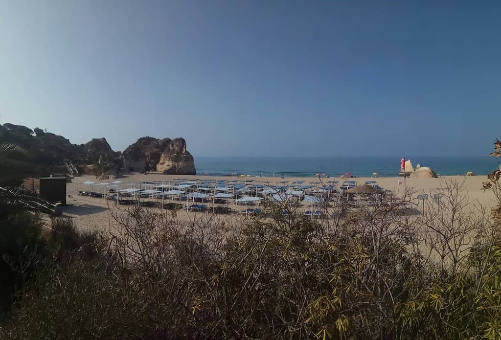 Seaside Boardwalk Stroll