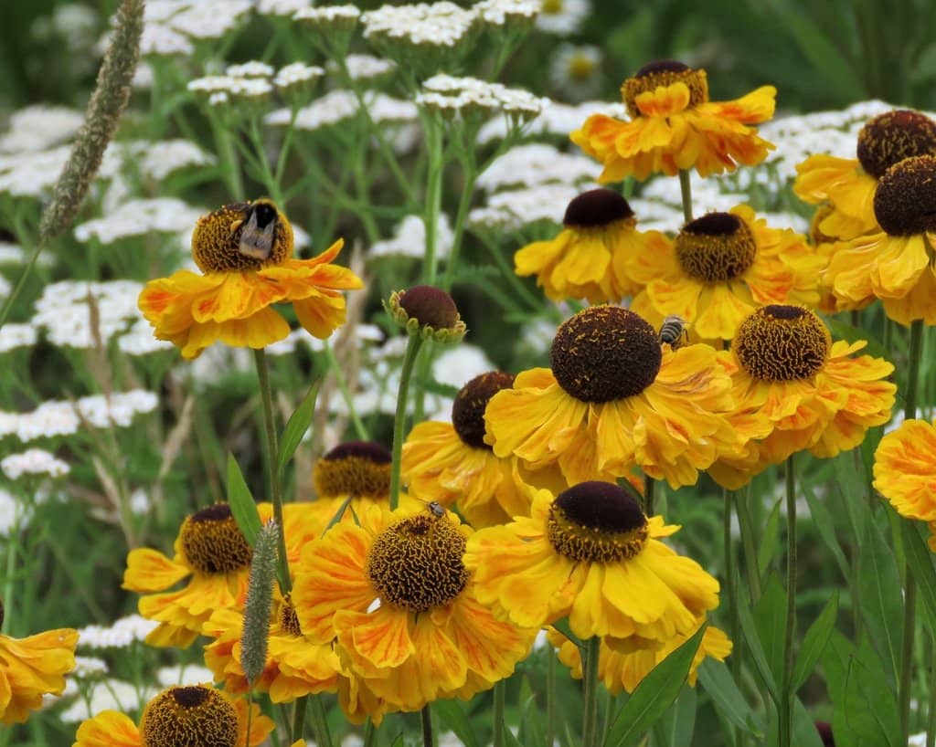 Peaceful Lakeside Restaurant