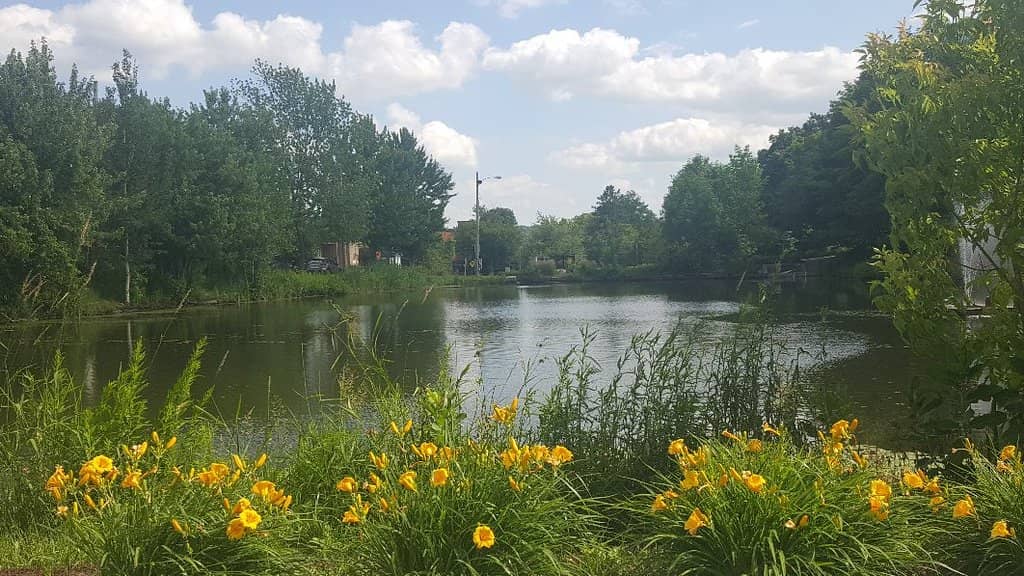 Open-Air Art Appreciation