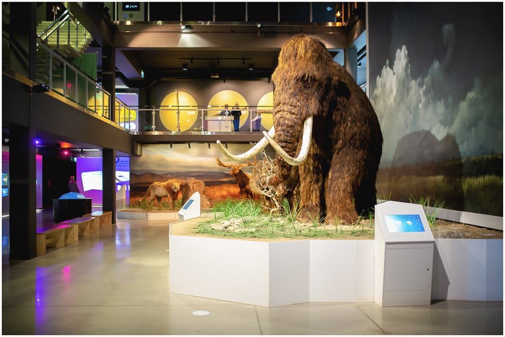 Mammoth