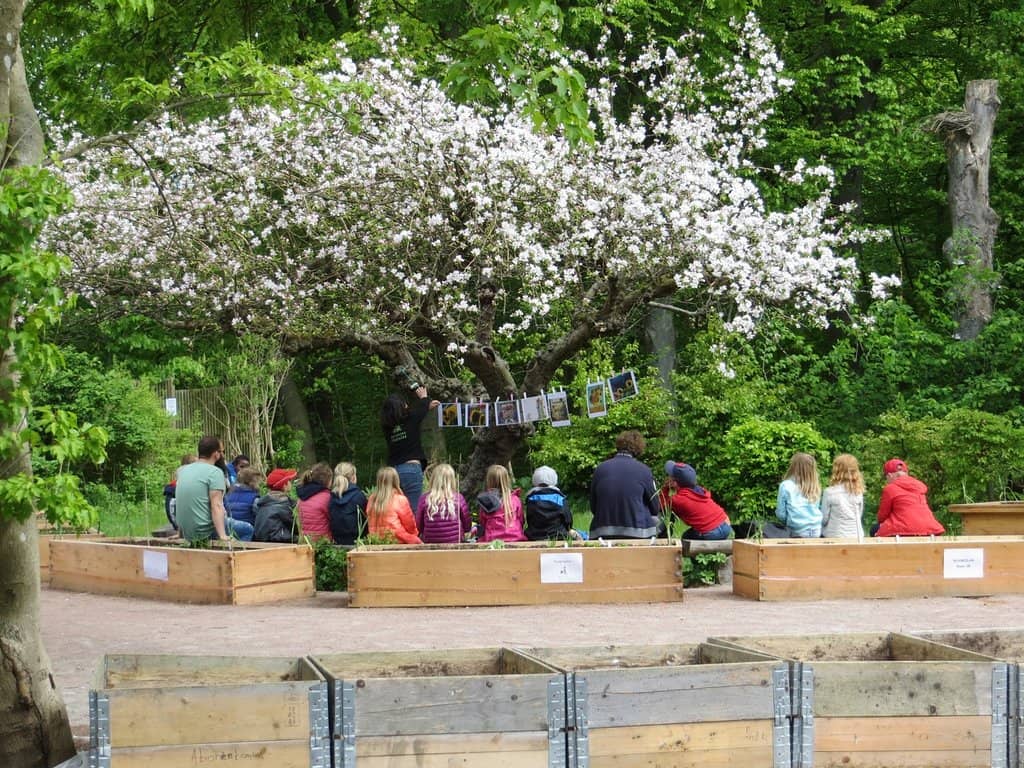 Panoramic Hilltop Views