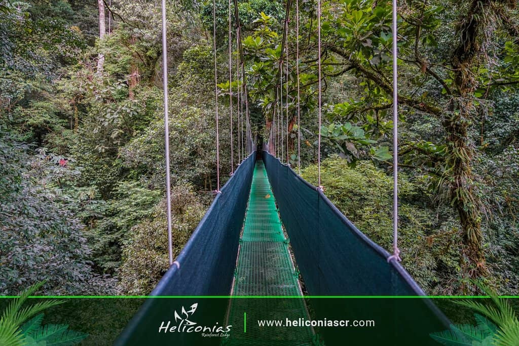 Hanging Bridges Trail