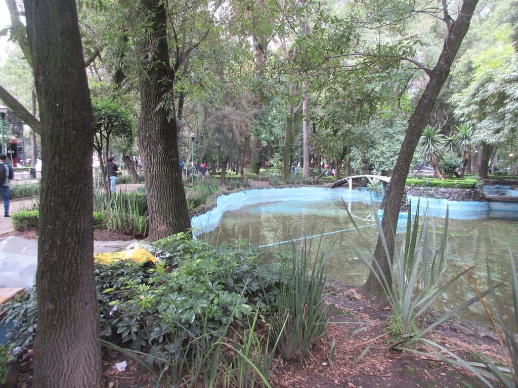 Wonderful ponds under trees