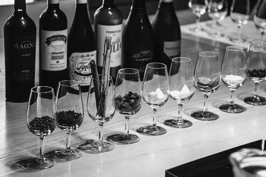 Wine Tasting Experience