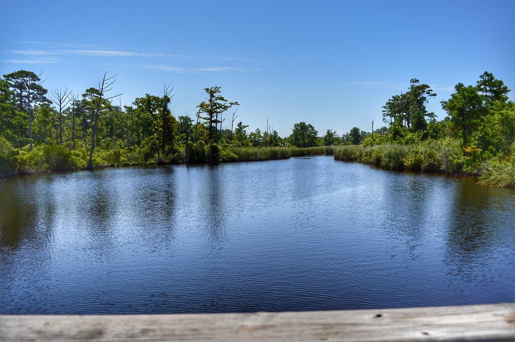 Sandy Run Park Kitty Hawk NC