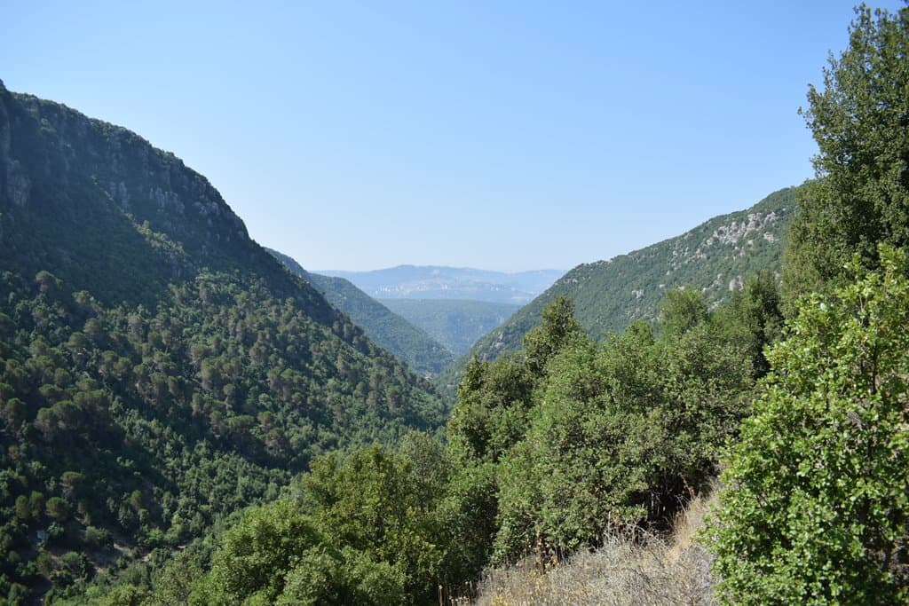 Wadi Salib Haifa