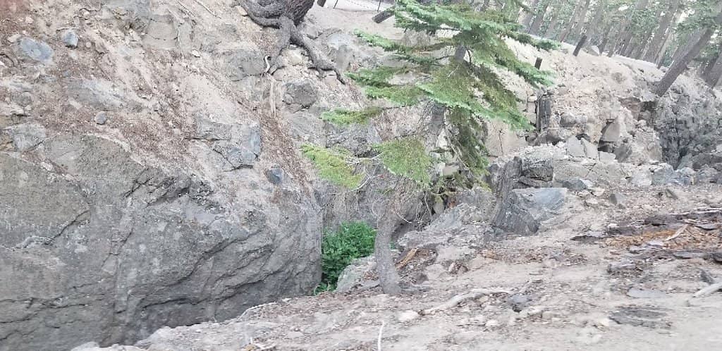 Easy Loop Trail