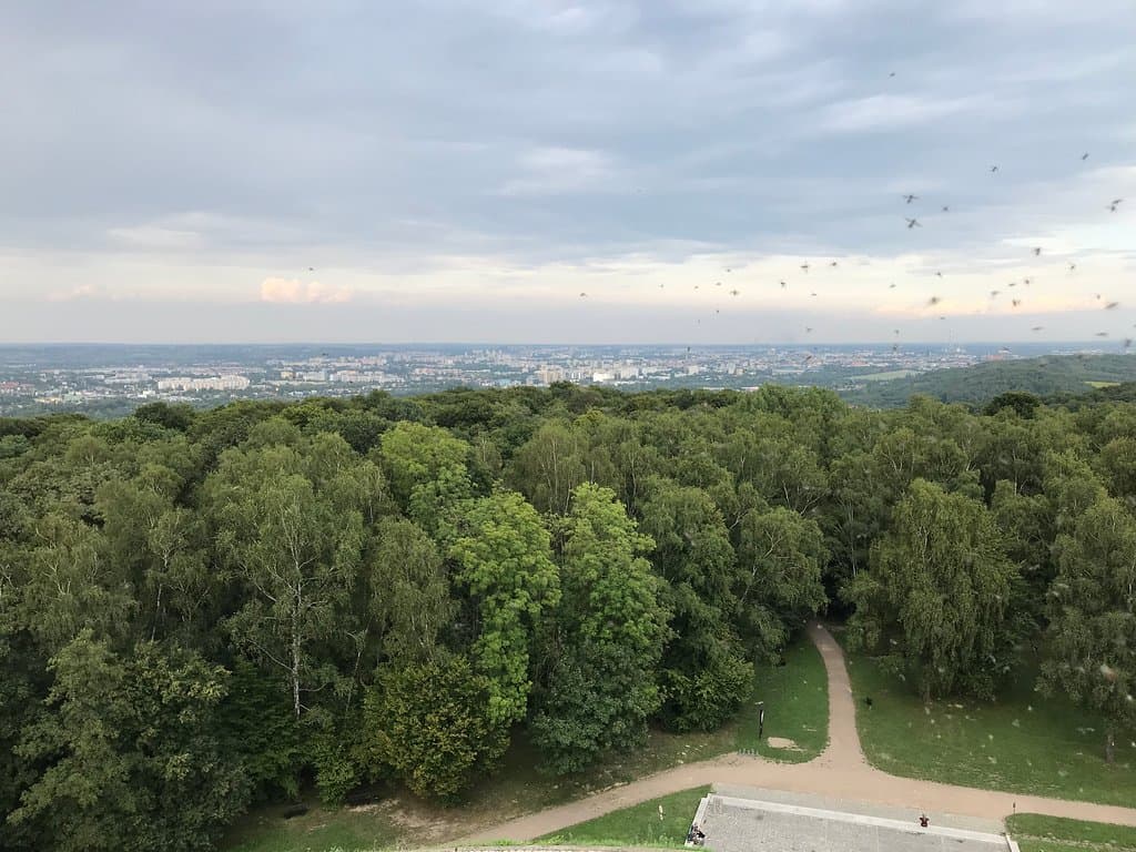 Wolski Forest Kraków