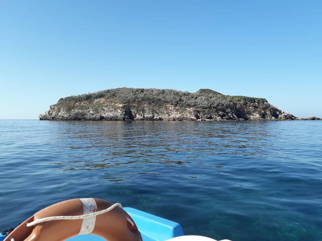 Drone Views of Paradise