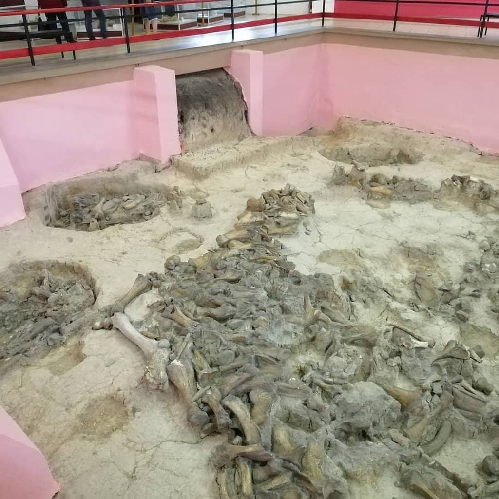 Ancient Mammoth Sites