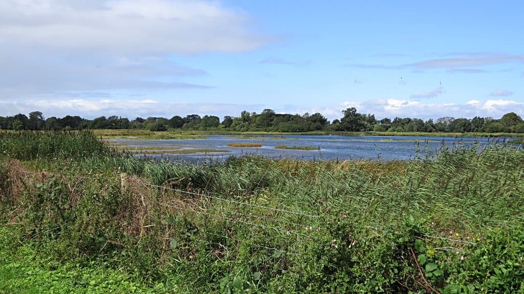 Deeping Lakes Nature Reserve
