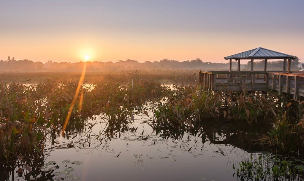 The pavilion at sunrise