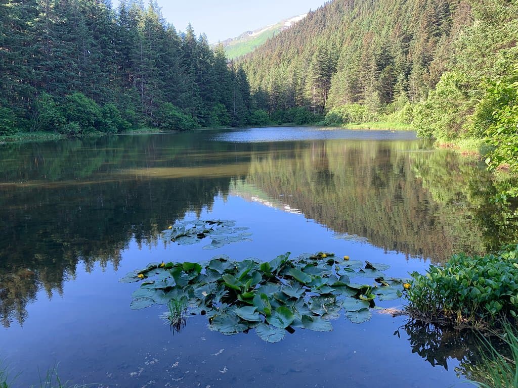 Two Lakes Park