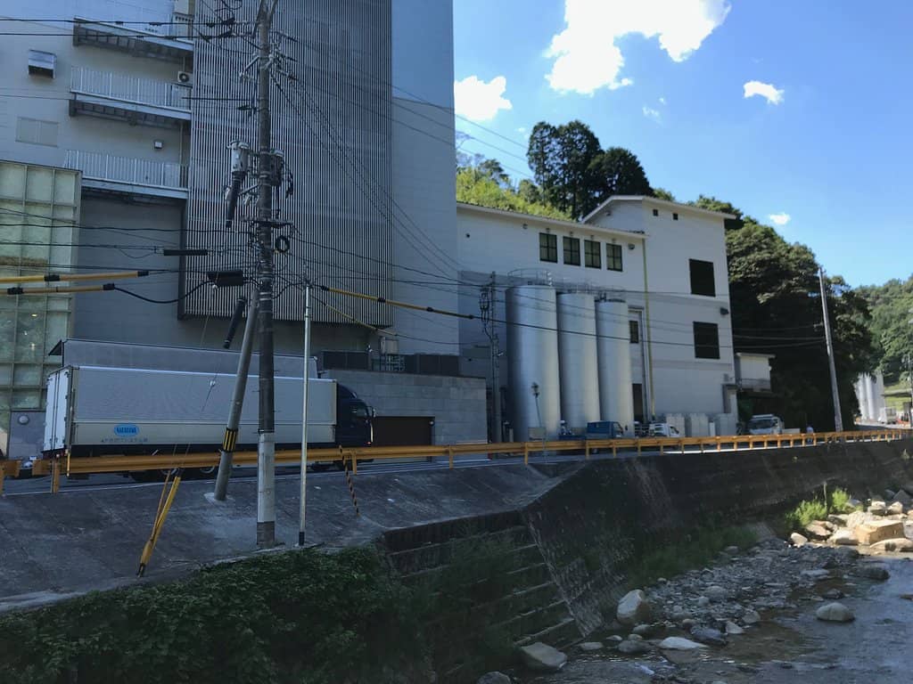 Freshly Steamed Rice Tasting