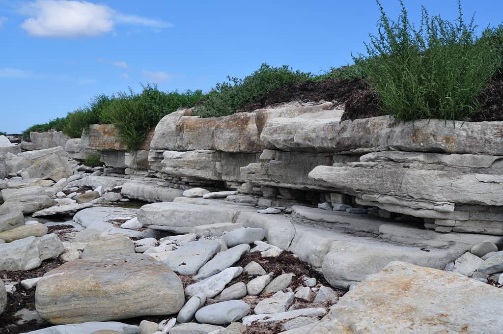 Birdwatching Paradise