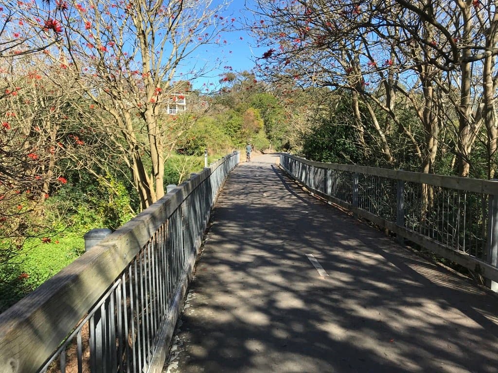 Fernleigh Track