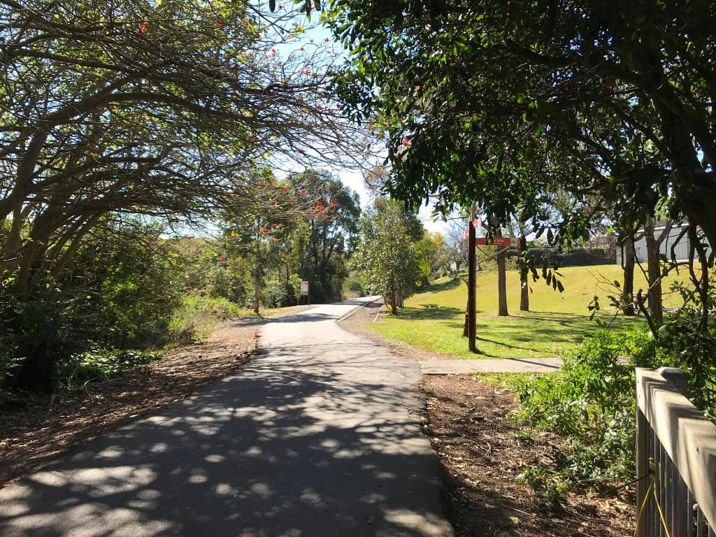 Scenic Wetlands and Native Wildlife