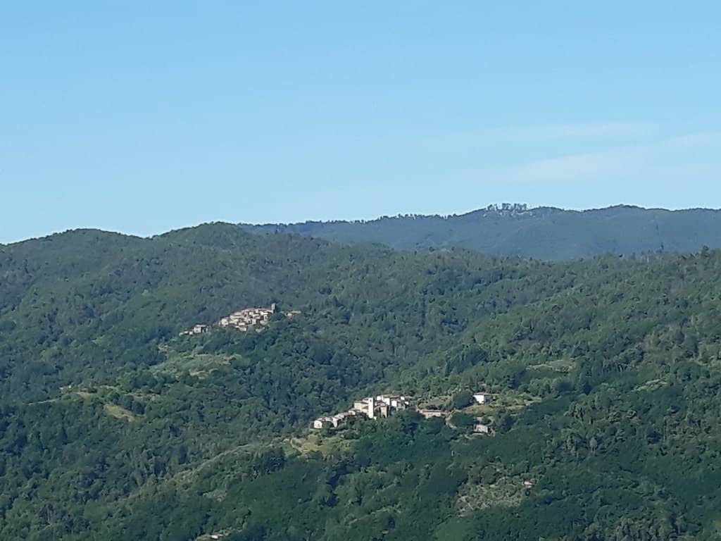 Montecarlo Bianco Wine Tasting