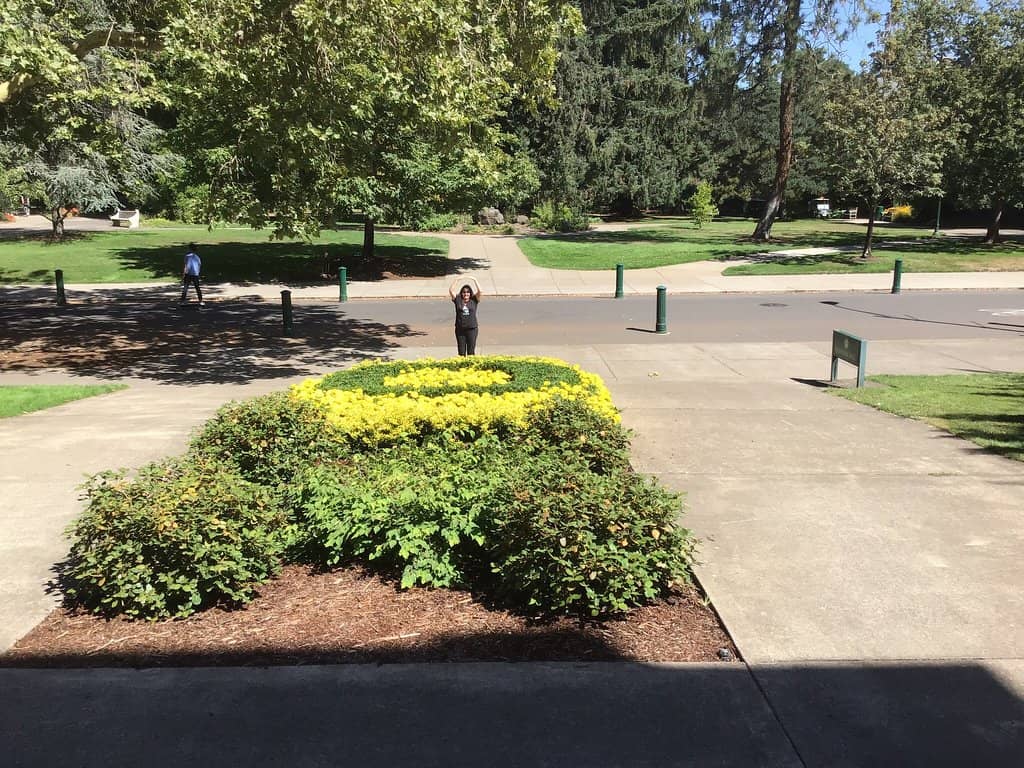 Jordan Schnitzer Museum of Art