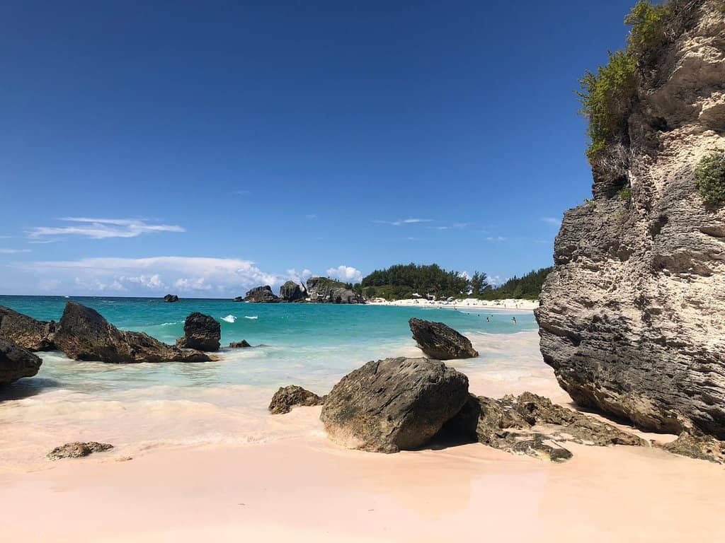 Snorkeling and Marine Life