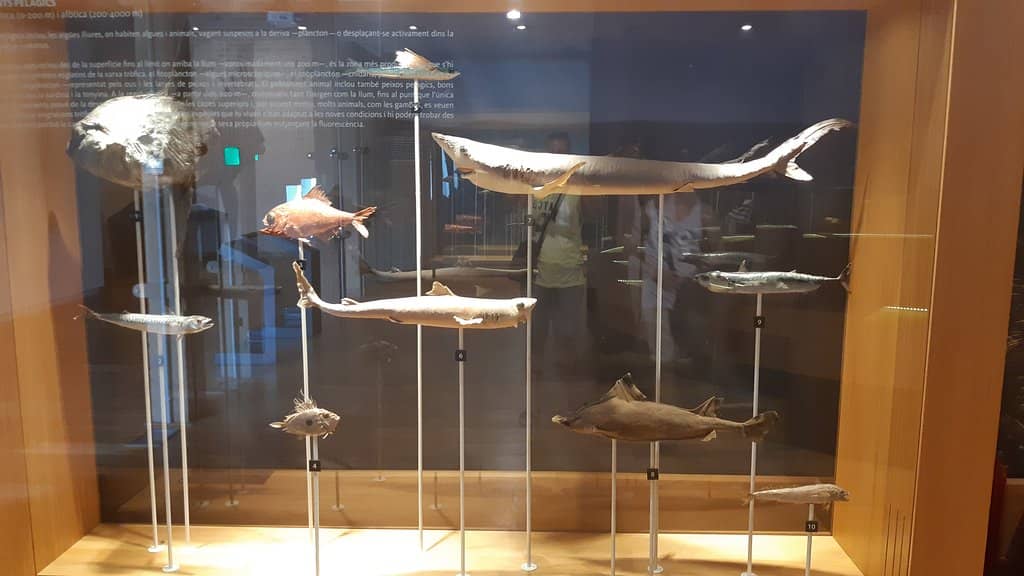 Village Life Exhibition