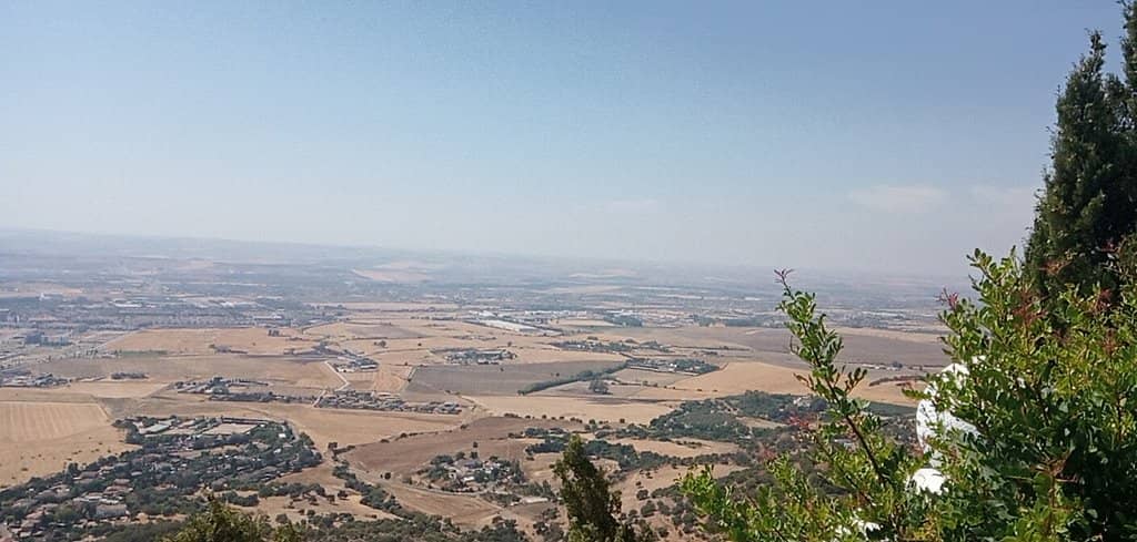 Cypress and Jasmine Avenue