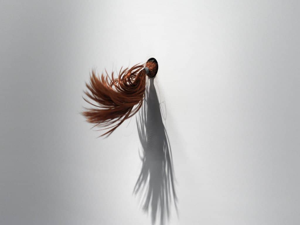 Third hero image