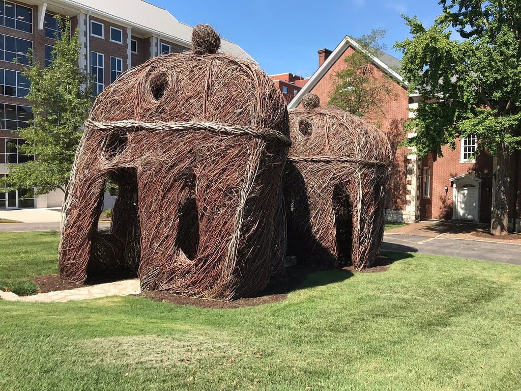 Kentucky Museum