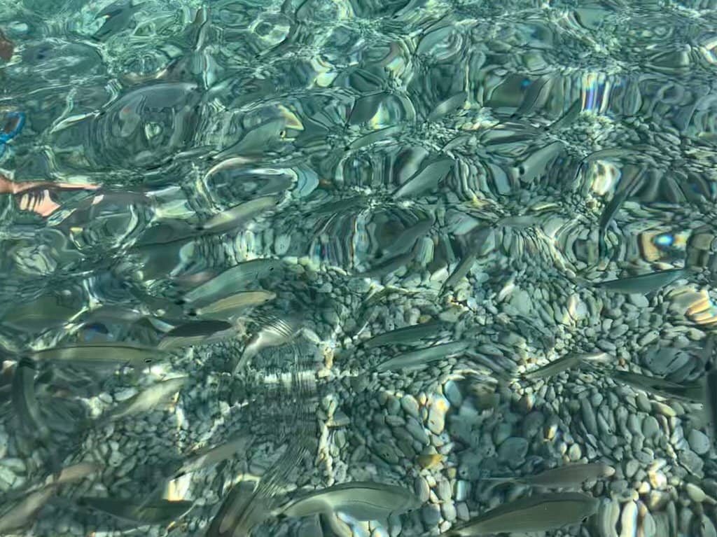 Crystal Clear Turquoise Waters