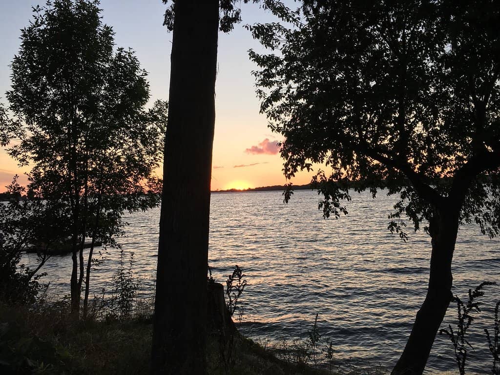 Vertical photo