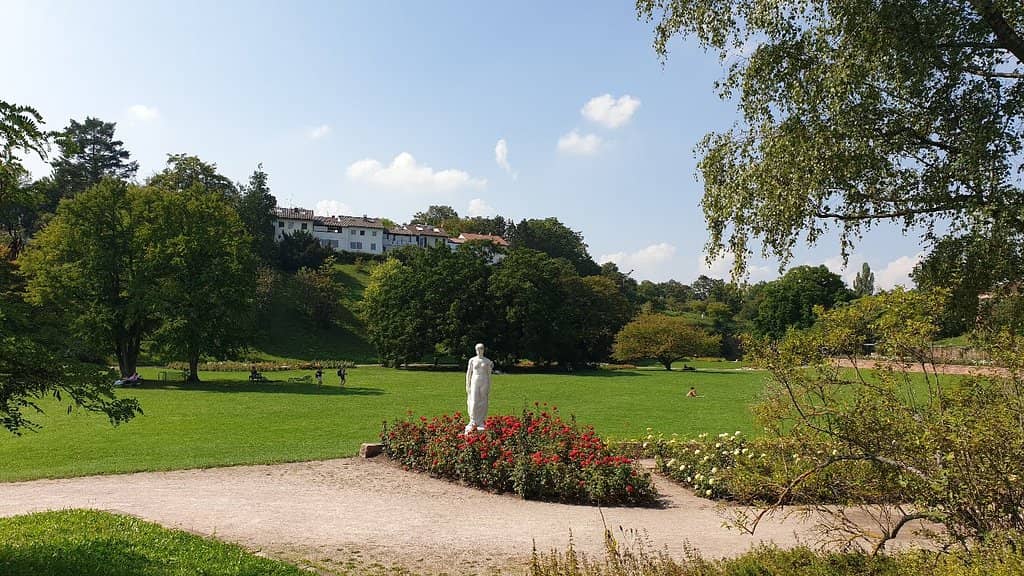 Panoramic City Views