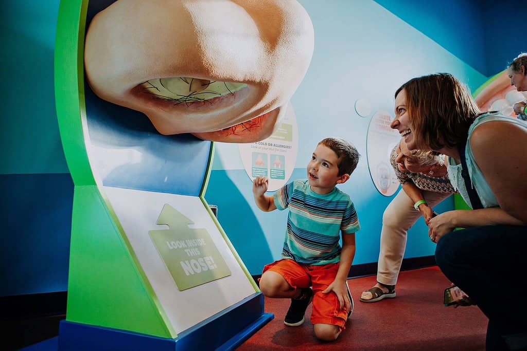 Water Play & Farm Market