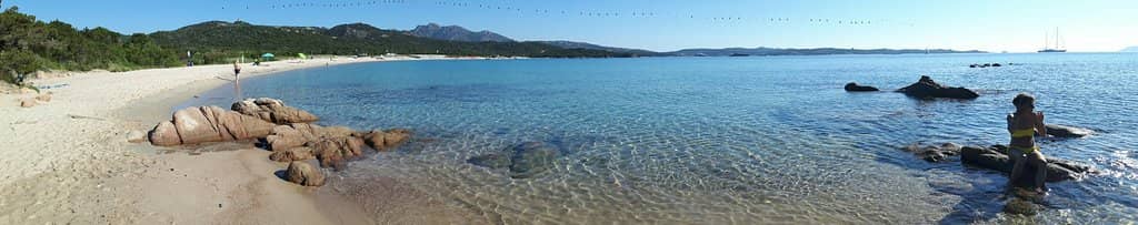 Mediterranean Scrub Scenery