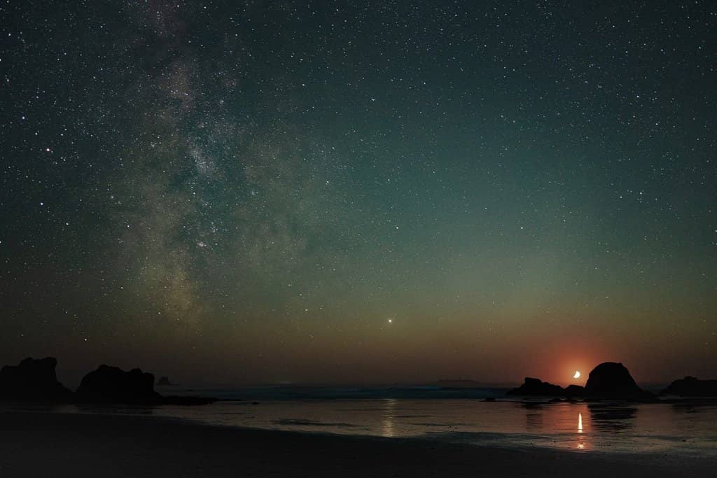 Tide Pools Teeming with Life